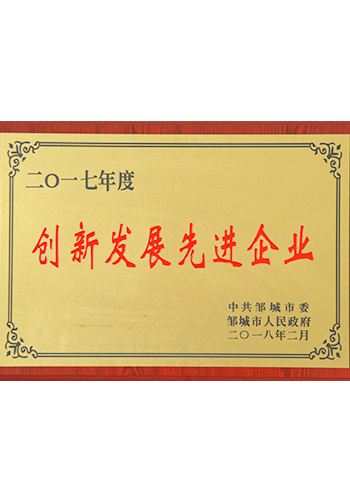 2017年度创新发展先进企业