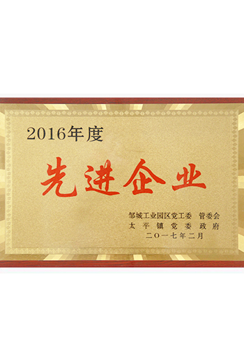 2016年度先进企业
