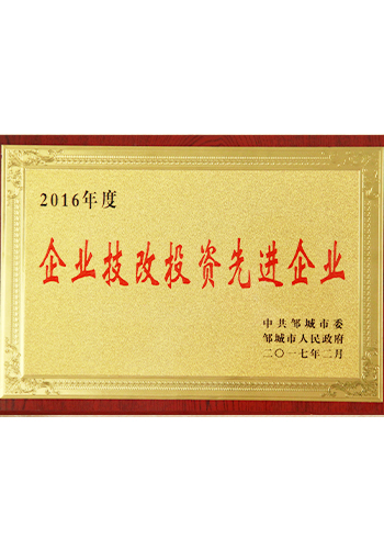 2016年度企业技改投资先进企业