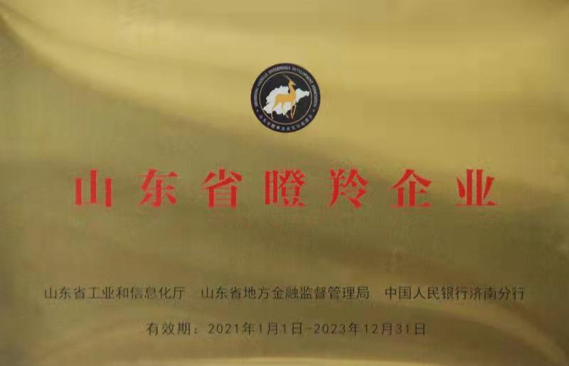 山东省瞪羚企业
